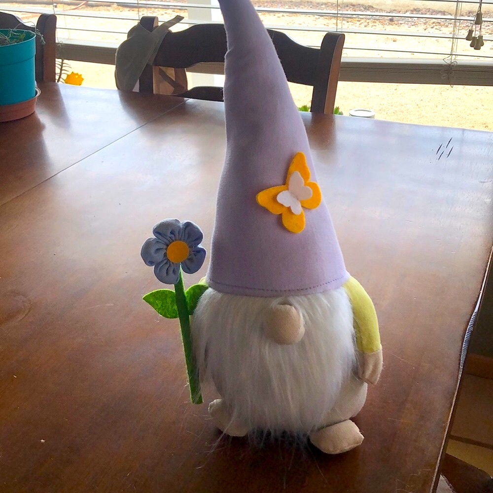 Spring time Gnome NWT